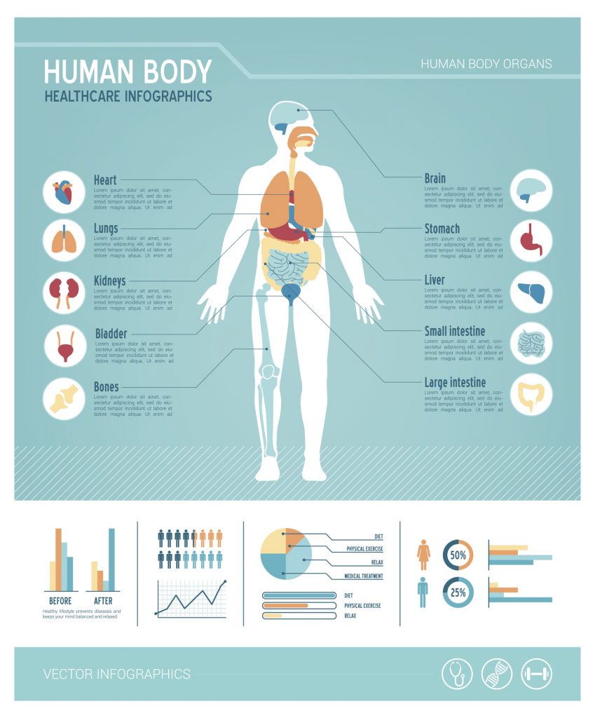 immunity body